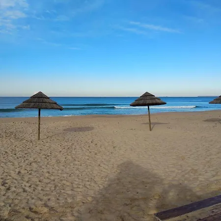 West Coast Surf * 아레이아 브랑카