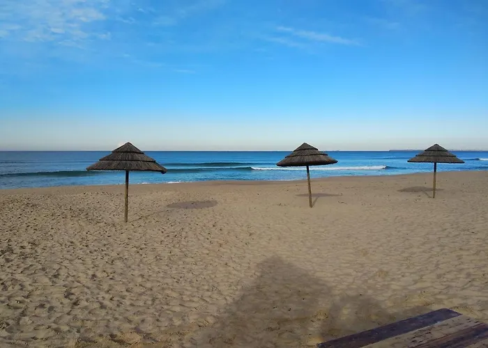 West Coast Surf * ארייה ברנקה