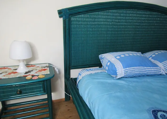 West Coast Surf אכסניה ארייה ברנקה